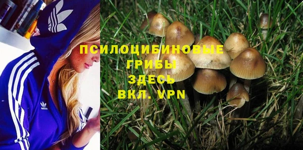 MDMA Липки