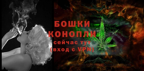 крисы Лиски