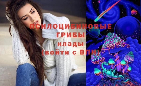 бошки Лихославль