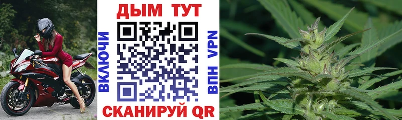 Бошки Шишки ГИДРОПОН  Крым 
